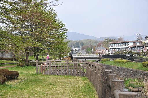 川沿いの散歩道　４月２２日