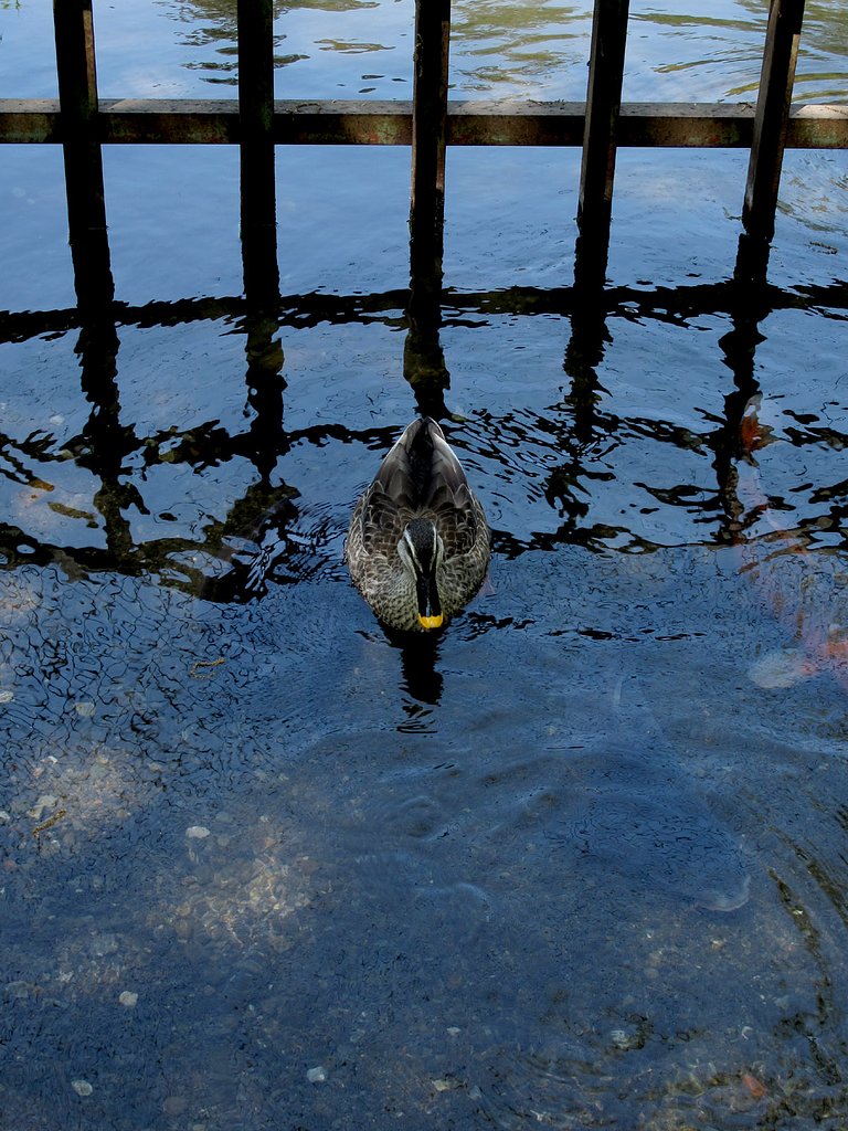 いい天気だね♪