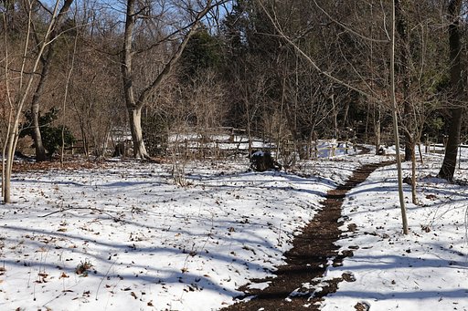 2月9日の写真