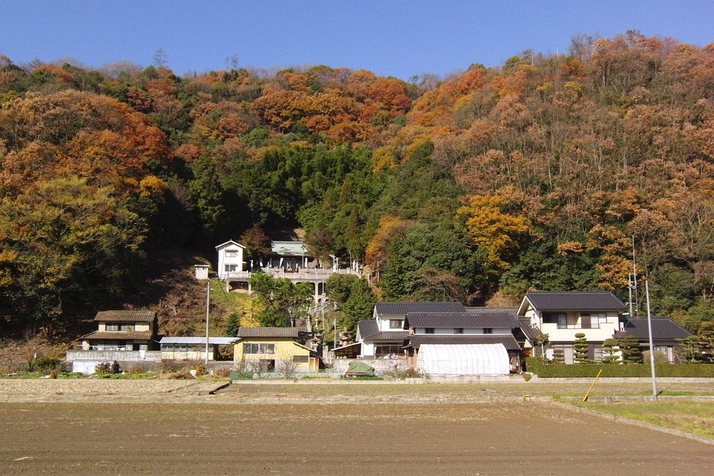 山懐