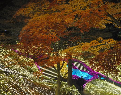 【X】紅葉とクリスマスイルミネーション
