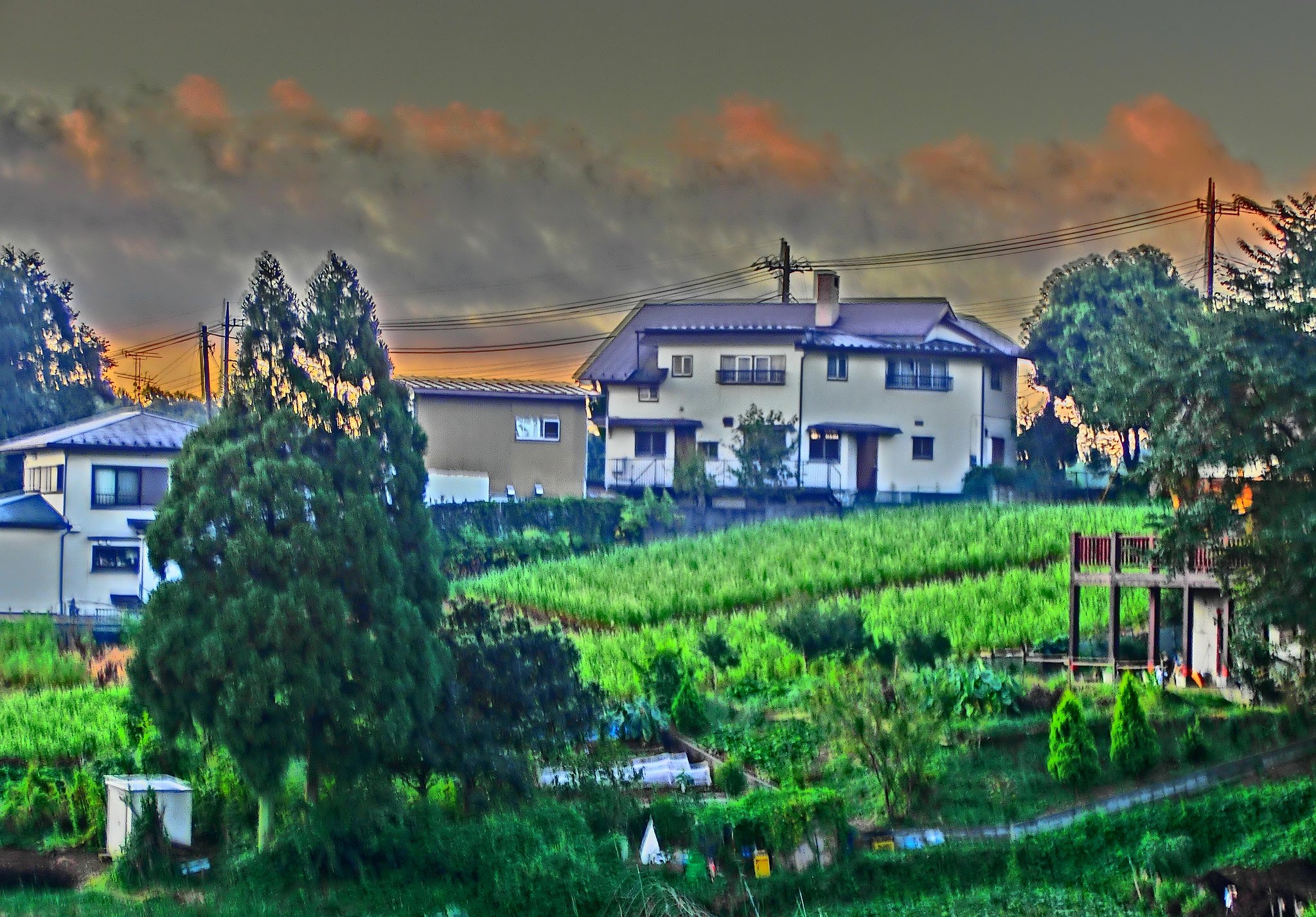 畑と家のある風景