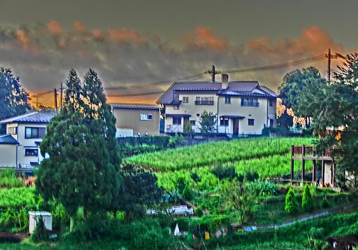 畑と家のある風景