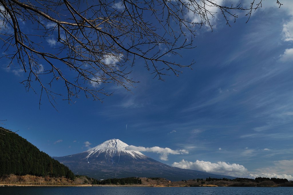 桜の頃をイメージしながら