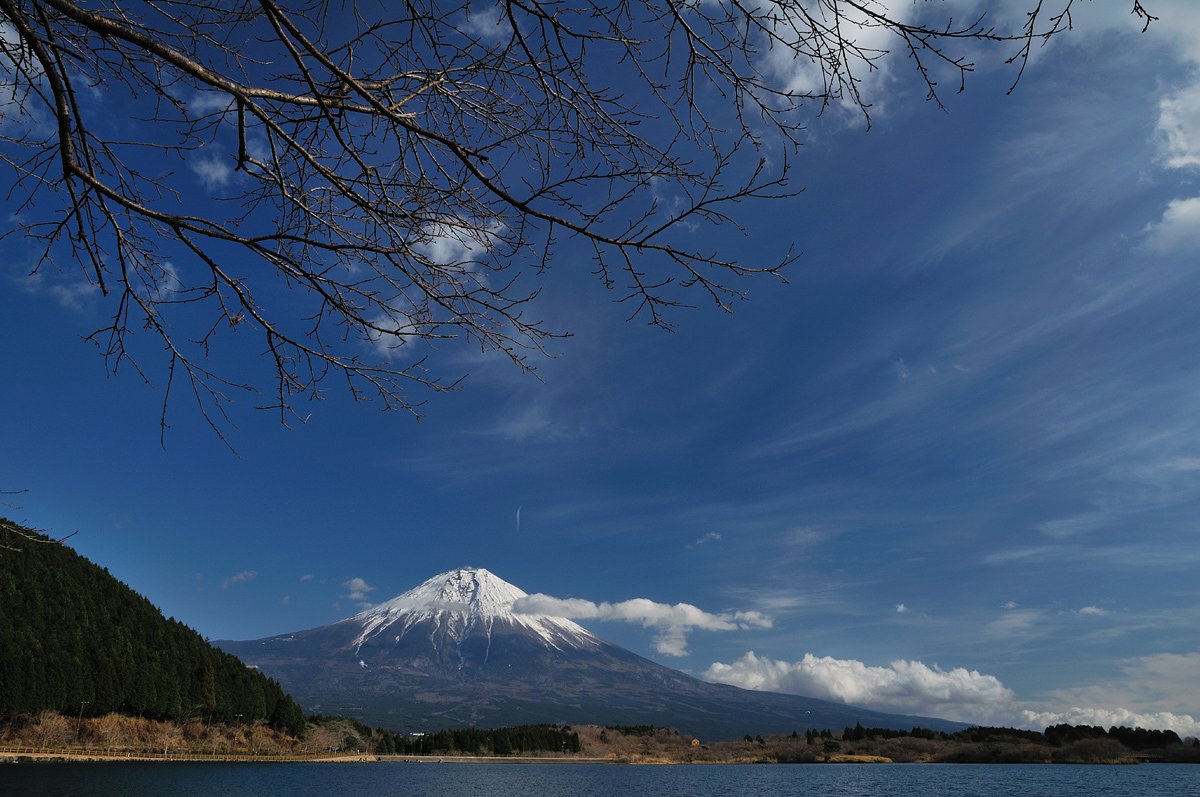 桜の頃をイメージしながら