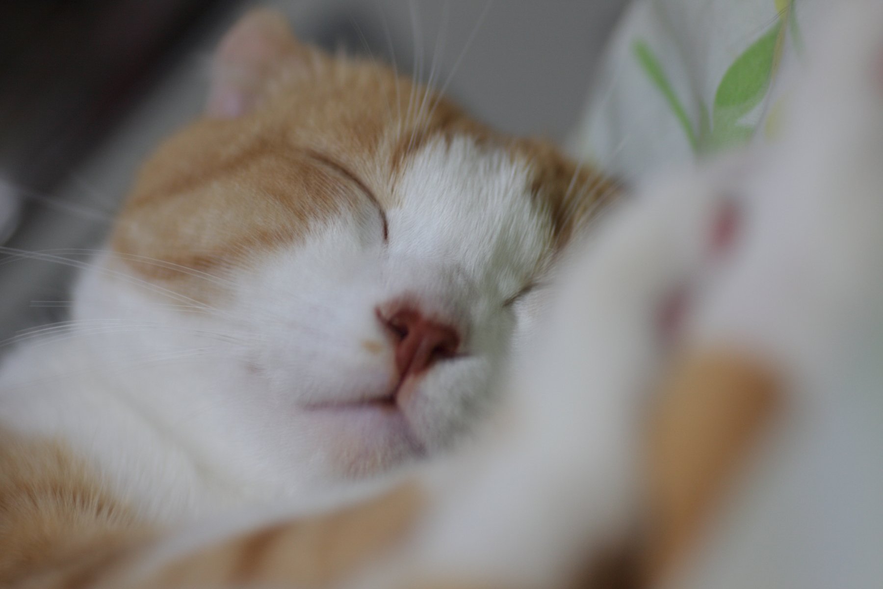 ZZZ...