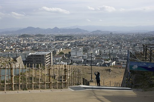 雑感