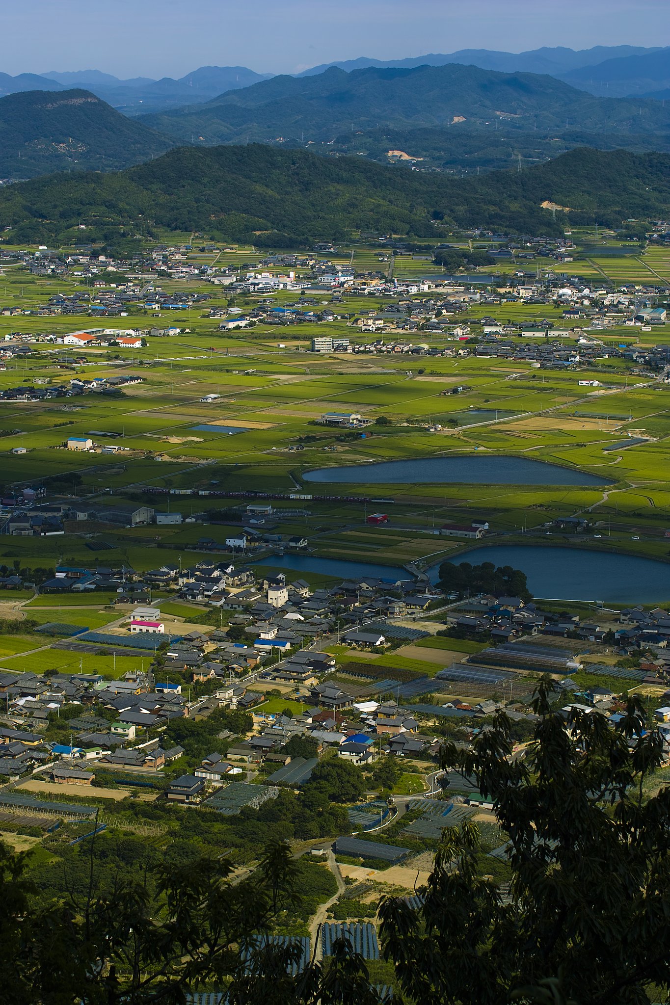 瀬戸の内海