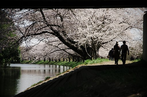【おだやかに・・・・春】穏やかに流れて・・・