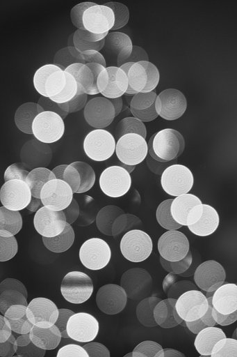 【Ｘ】クスリスマスツリー