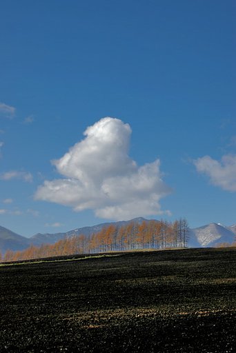 スカイラインの両側に