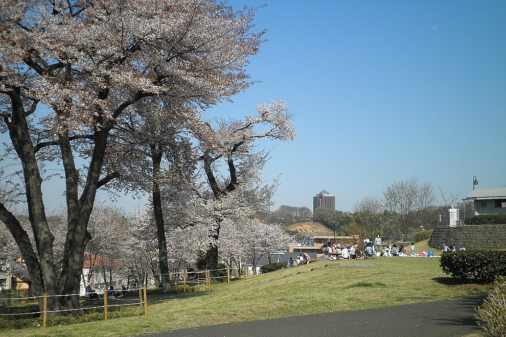 宇津貫公園　４月１３日