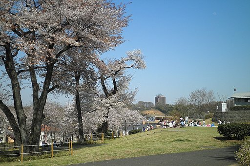 宇津貫公園　４月１３日