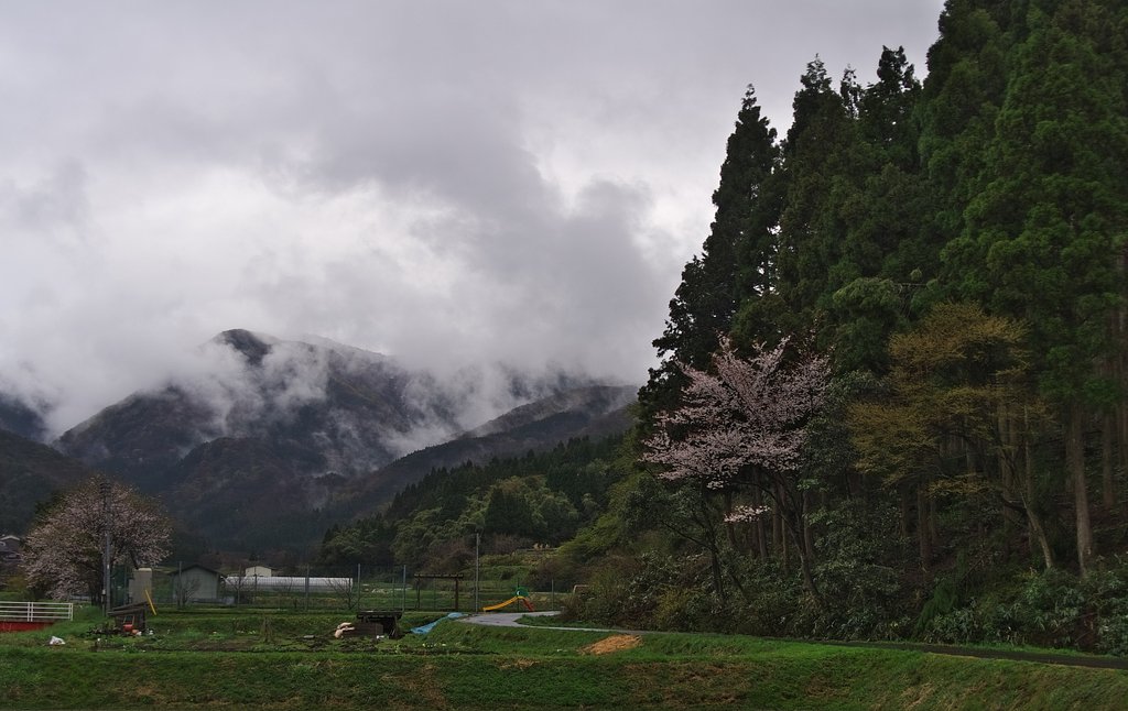 【おだやかに・・・春】春の雨