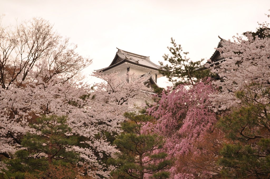 金沢城
