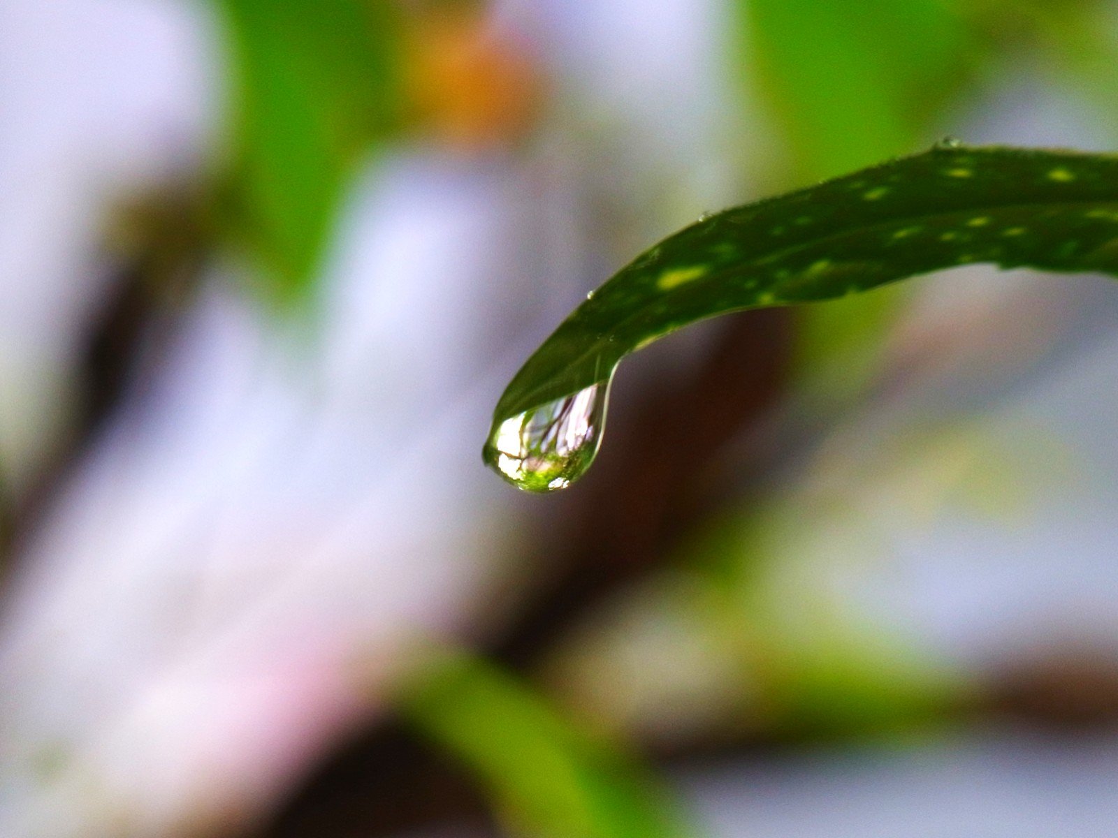 水滴その3