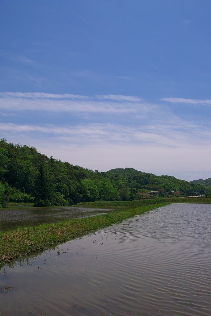 (質)水面