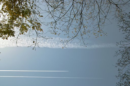 【おだやかに・・・春】新芽の空