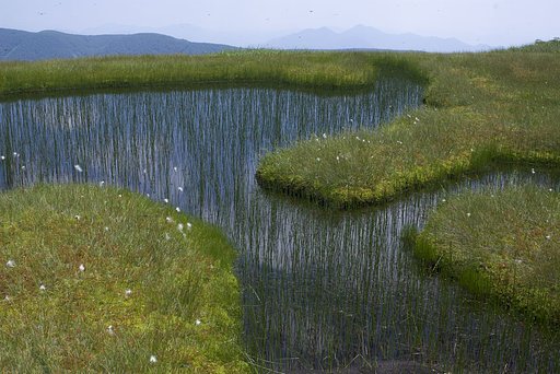 雲上のオアシスへ-8
