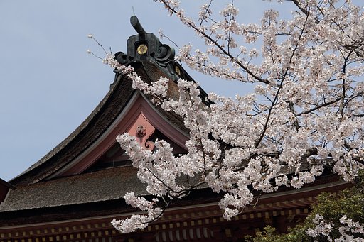 祈念