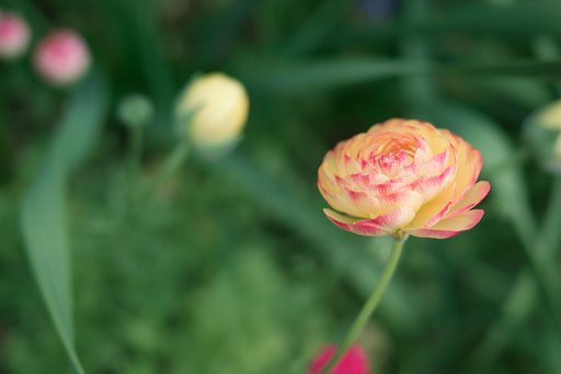【おだやかに・・・春】の花壇をプチッと切り取りました