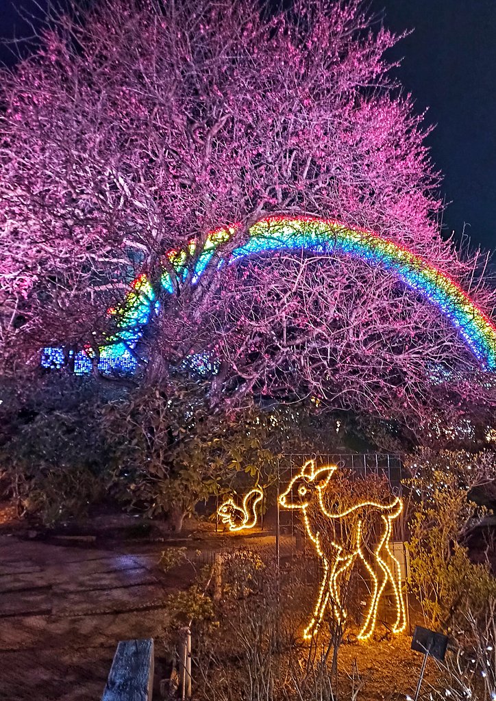 いろどりの夜