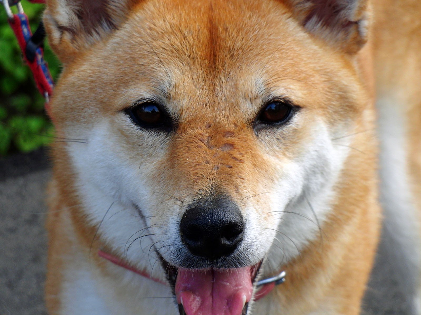 目線