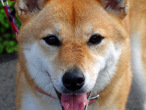 目線