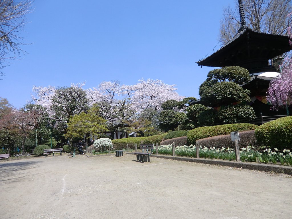 大日様