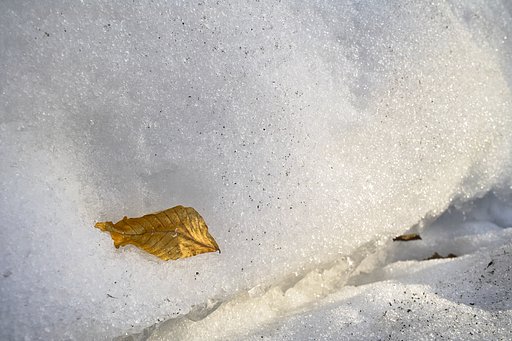 残雪