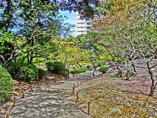 地面に敷かれた桜