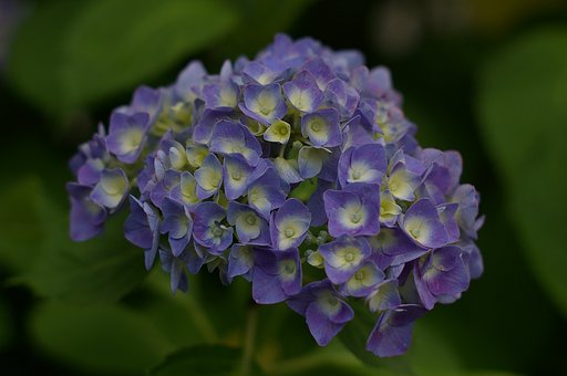 安レンズの実力