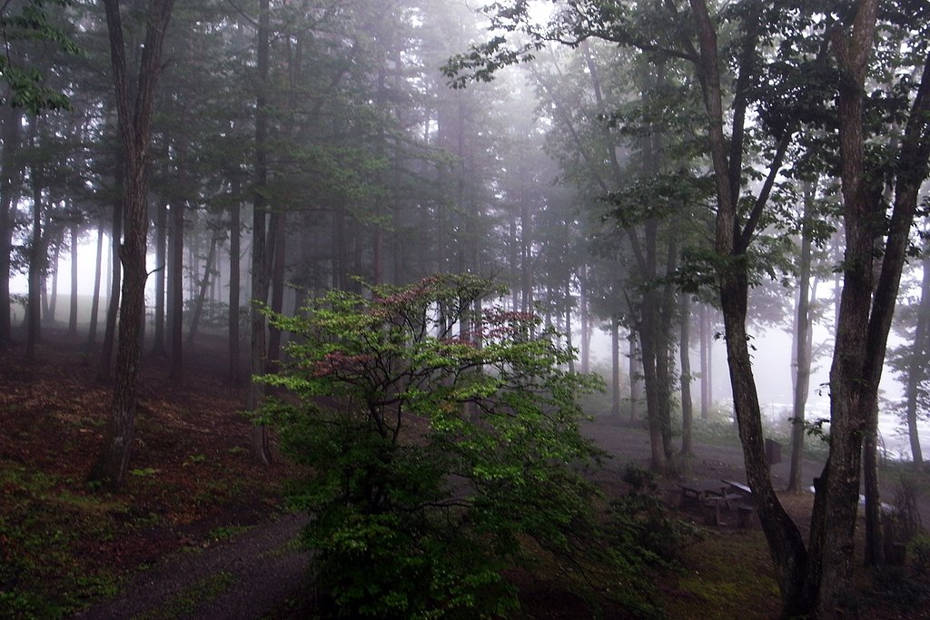 【長】月の霧