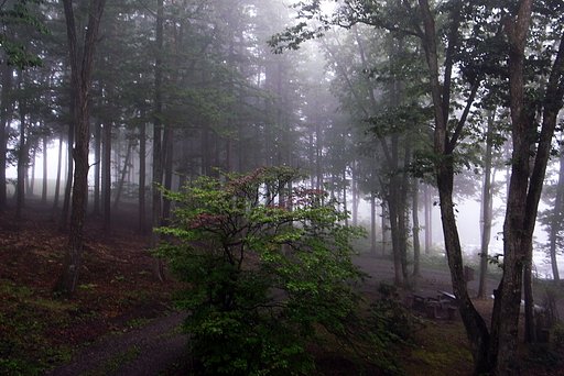 【長】月の霧