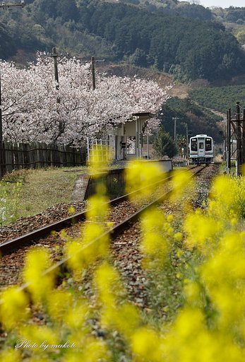 花の駅