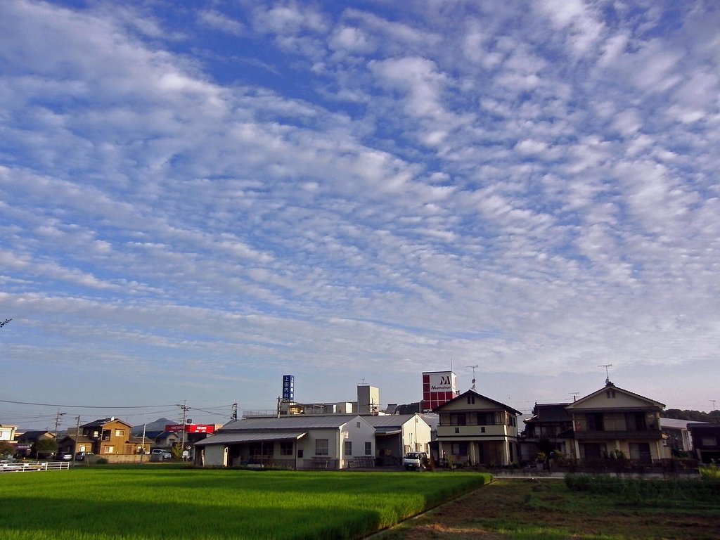 早く来〜い晴れ空