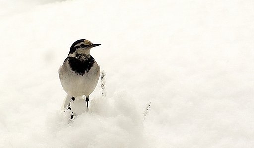 この機器もうすこし