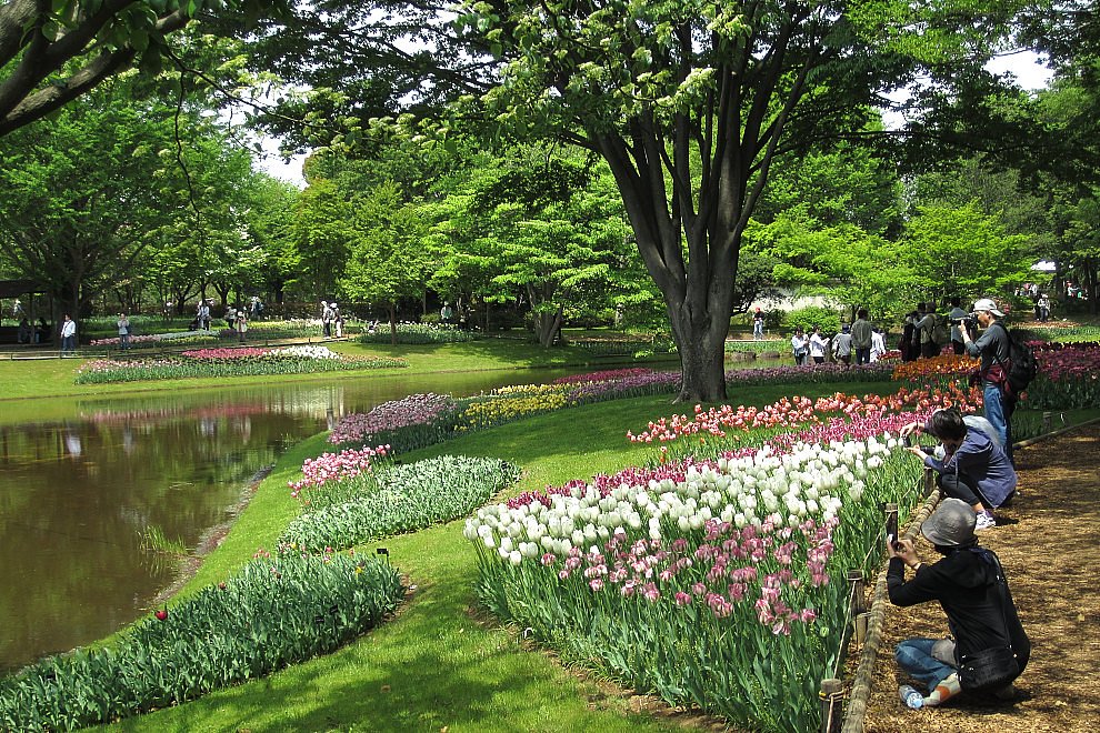 昭和公園