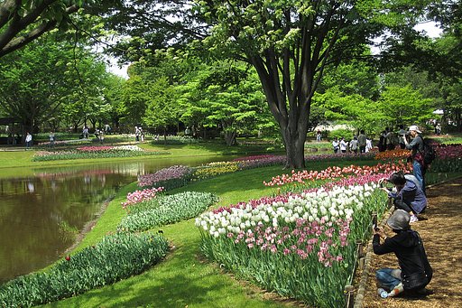 昭和公園