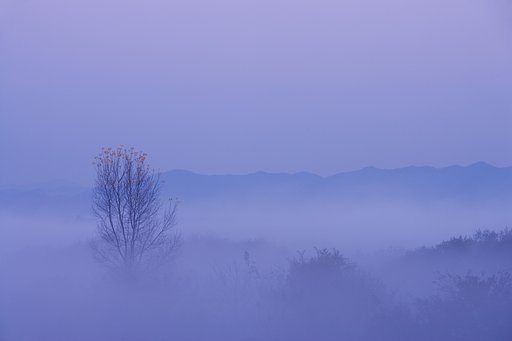 霧の朝
