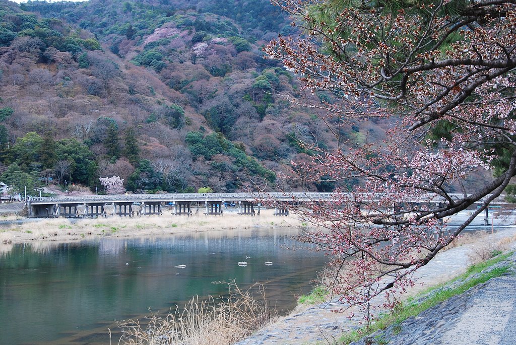 嵐山