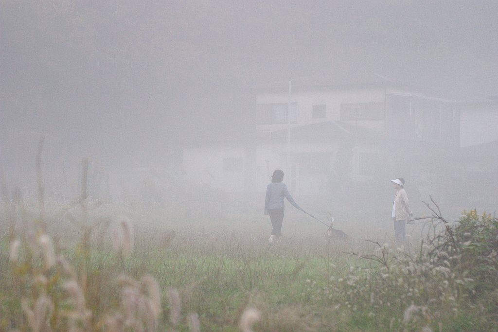 霧の朝