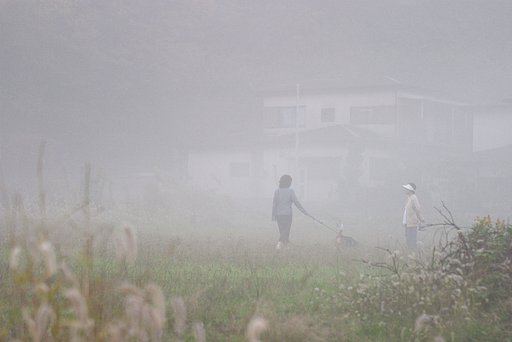 霧の朝