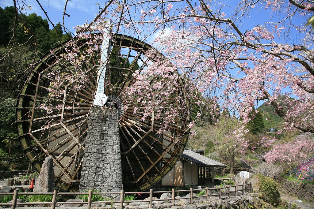 水車と桜