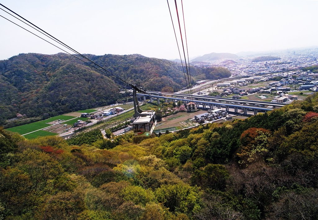 【質】新緑の空中散歩