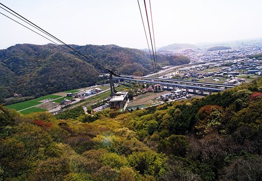 【質】新緑の空中散歩