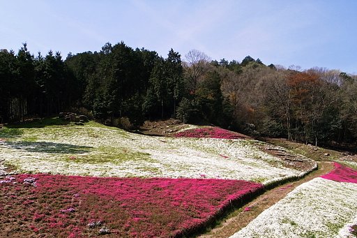 【質】隣の山