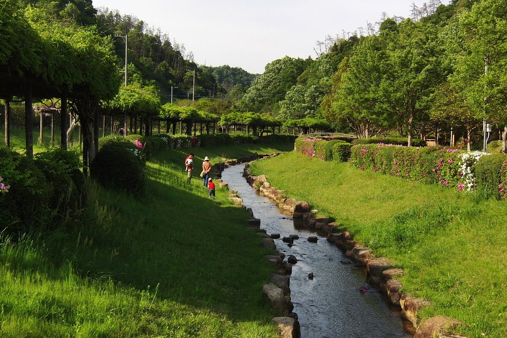 公園風景