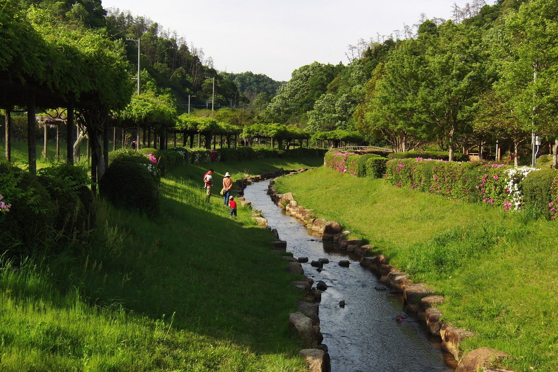 公園風景