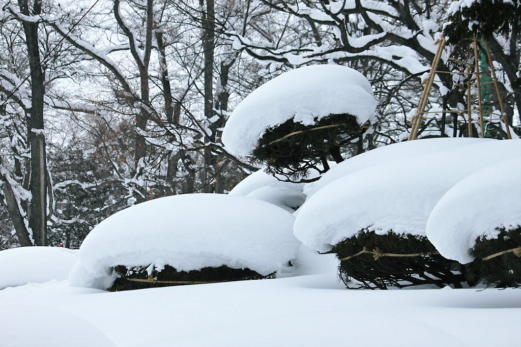 雪座布団